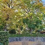 Motel Hojmolle 3*