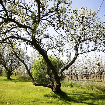 Højmølle Eskilstrup (Sjaelland)